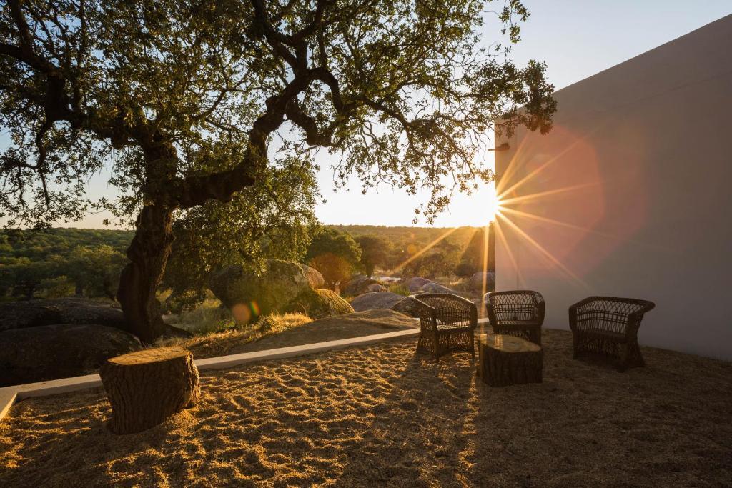 Monte Velho Equo-Resort Arraiolos Extérieur photo